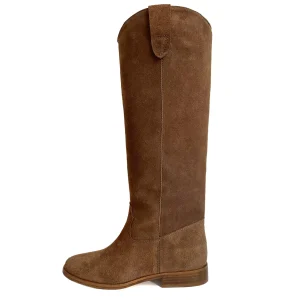 Ambrosia scamosciato, tan