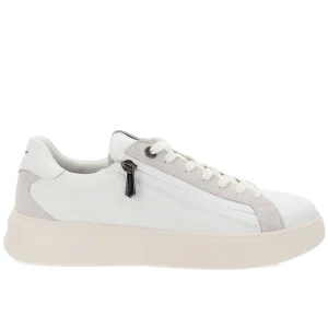 Alberto Guardiani - Sneakers Uomo