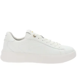 Alberto Guardiani - Sneakers Uomo