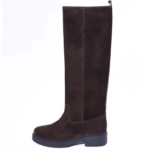 Anastasia scamosciato, testa di moro