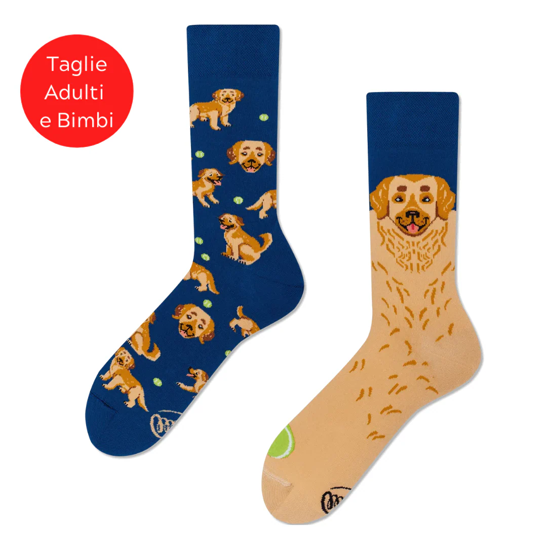 Many Mornings Calzini - Cane