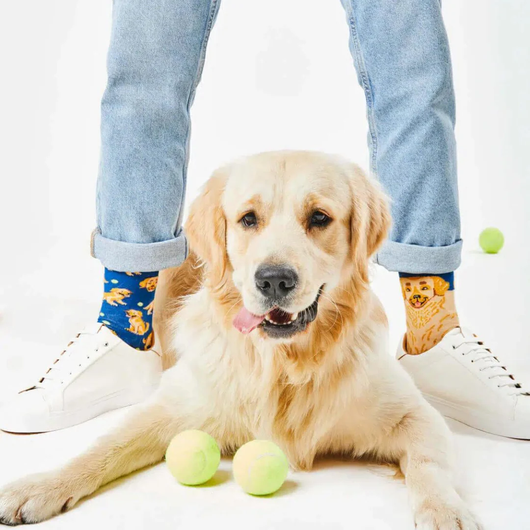 Many Mornings Calzini - Cane - immagine 7