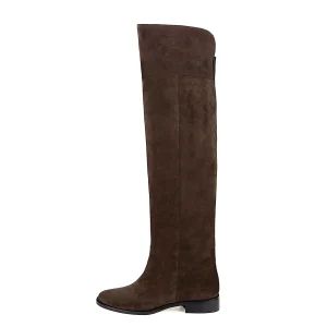 Diana scamosciato, testa di moro